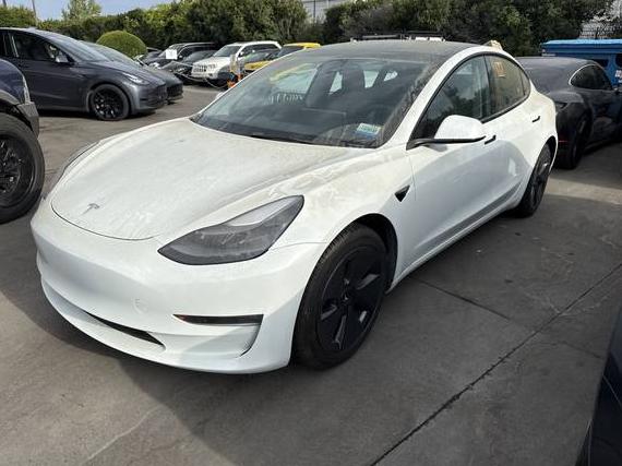 TESLA MODEL 3 2023 5YJ3E1EB7PF390704 image